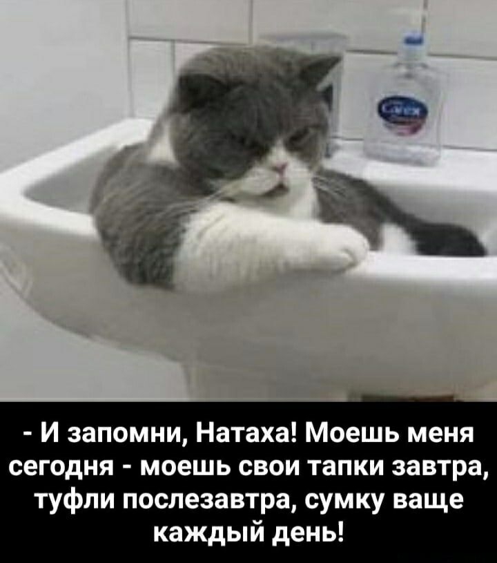 И запомни Натаха Моешь меня сегодня моешь свои тапки завтра туфли послезавтра сумку ваще каждый день