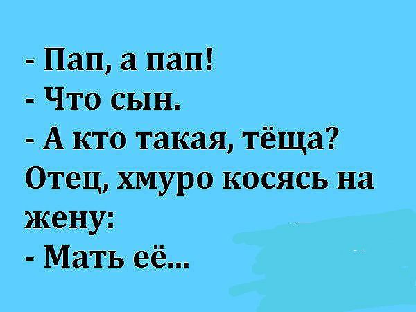 Пап а пап Что сын А кто так ая тёща Отец хмуро косясь на жену Мать её