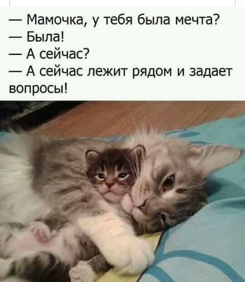 Мамочка у тебя была мечта Была А сейчас А сейчас лежит рядом и задает вопросы