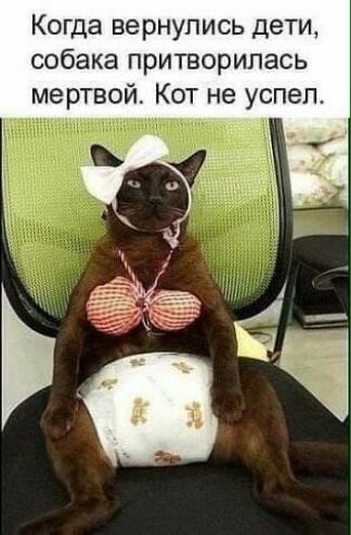 Когда вернулись дети собака притворипась мертвой Кот не успел