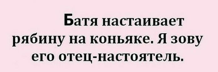 Батя настаивает рябину на коньяке Я зову его отец настоятель