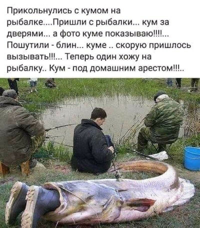 Прикольнулись кумом на рыбалкеПришли с рыбалки кум за дверями а фото куме показываю Пошутипи блин куме скорую пришлось вызыват Теперь один хожу на рыбалку Кум под домашним арестом