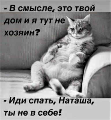 Иди спать Нагаш ты не в себе