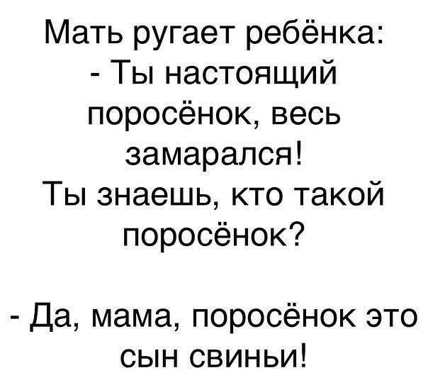 Мать ругает ребёнка Ты настоящий поросёноквесь замарапся Ты знаешь кто такой поросёнок Дамамапоросёнокэто сьпісвиньи