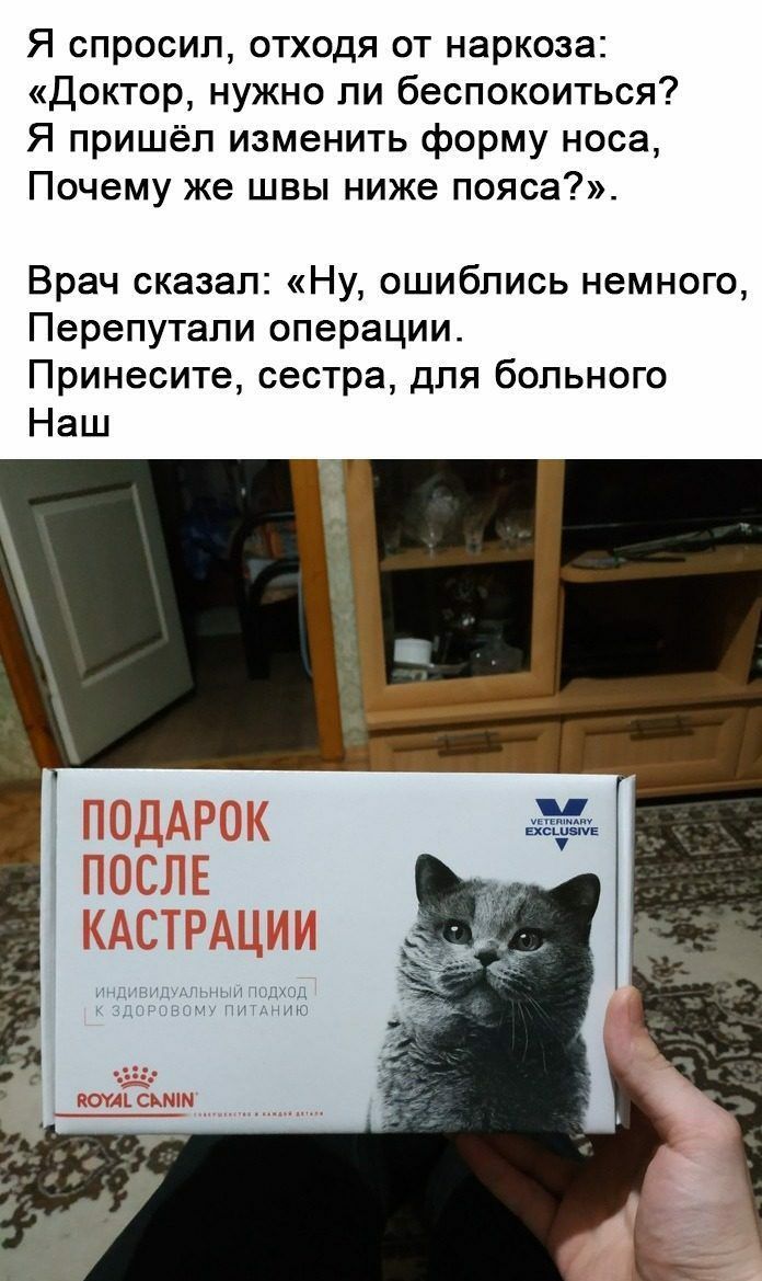 Я спросил отходя от наркоза Доктор нужно ли беспокоиться Я пришёл изменить форму носа Почему же швы ниже пояса Врач сказал Ну ошибпись немного Перепутапи операции Принесите сестра для больного Наш ПОДАРОК ПОСЛЕ КАСТРАЦИИ тис