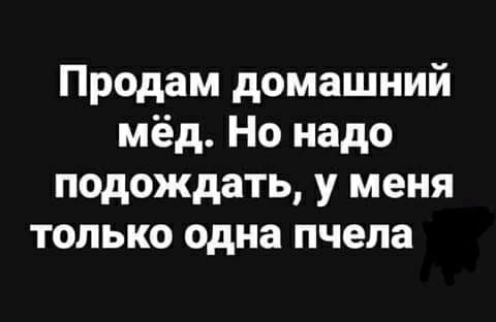 Продам домашний мёд Но надо подождать у меня только одна пчела
