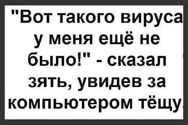 Вот такого вируса у меня ещё не было сказал зять увидев за компьютером тёщу