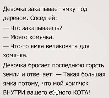 Девочка закапывает ямку под деревом Сосед ей Что закапываешь Моего хомячка Что то ямка вепиковата для хомячка Девочка бросает последнюю горсгь земли и отвечает Такая большая ямка потому что мой хомячок ВНУТРИ вашего еЭого КОТА