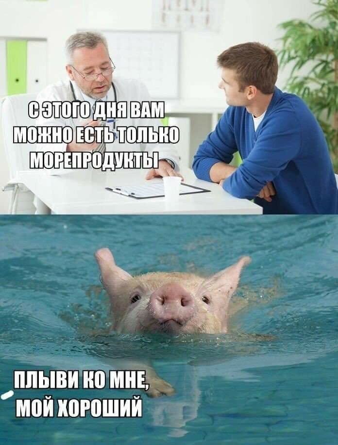 ПЛЫВИ но МНЕ МПИ ШРВШИИ