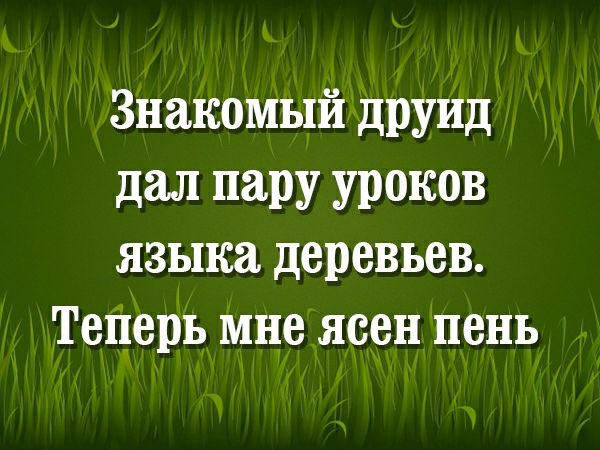 Знакомый друид дал пару уроков языка деревьев Теперь мне ясен пень