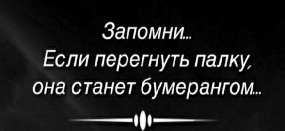 Запомни Если перегнуть палку она станет бумерангом 000