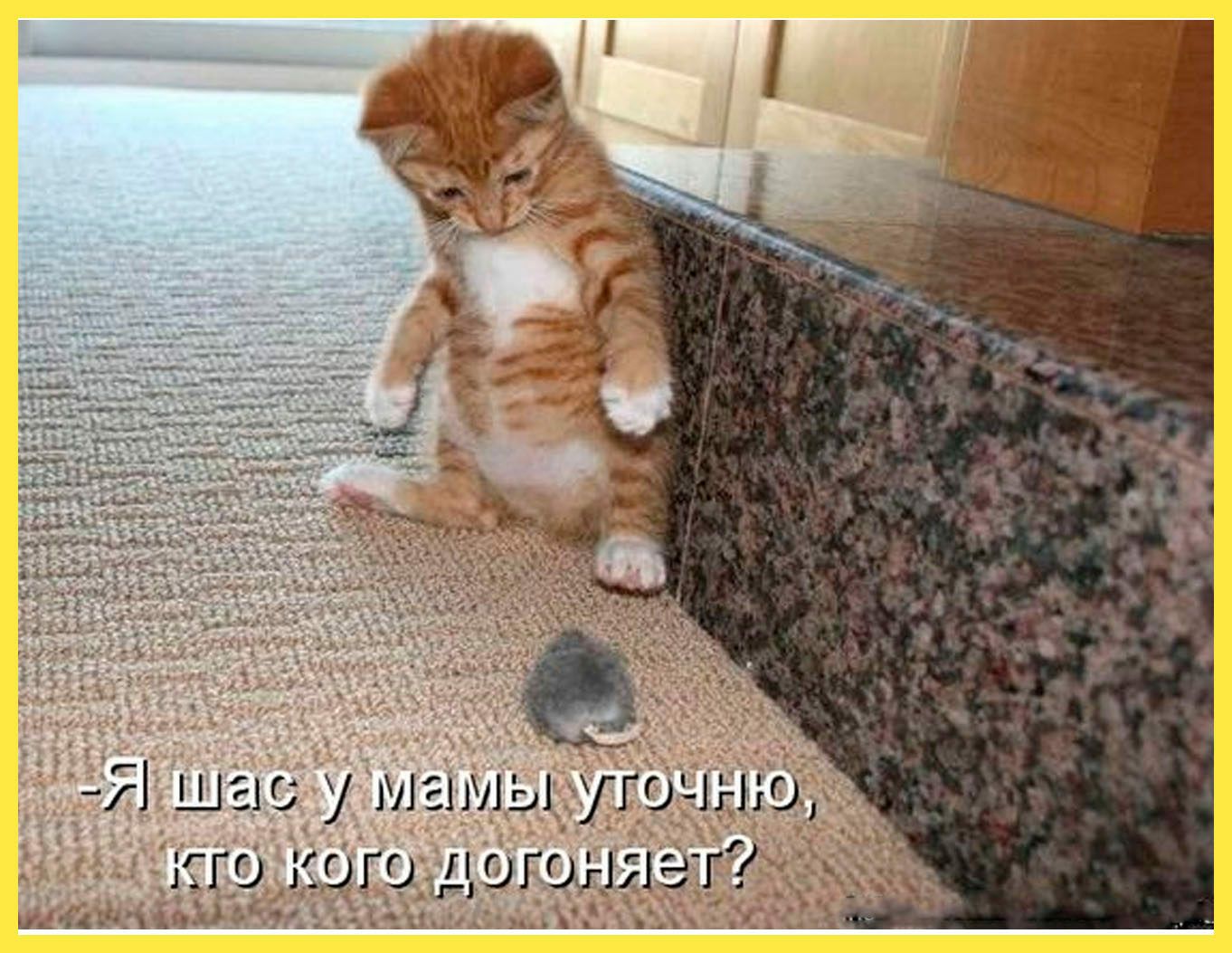 Г и Ь М 05 Тьх _і4х х