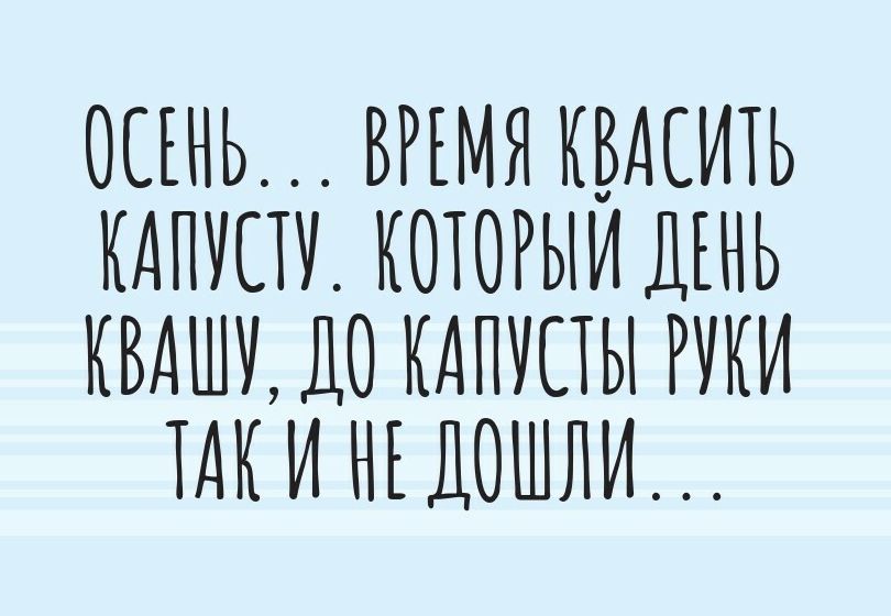 ОСЕНЬ ВРЕМЯ КБАЕИТЬ КАПУПУ КОТОРЫИ ДЕНЬ КВАШУ ДО КАПУЕТЫ РУКИ ТАК И НЕ ДОШЛИ