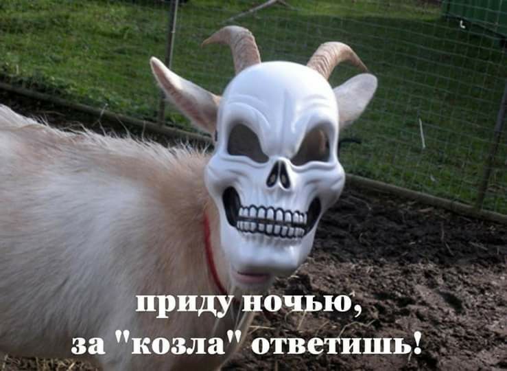 _ ндууючдьнъ озла ответиш