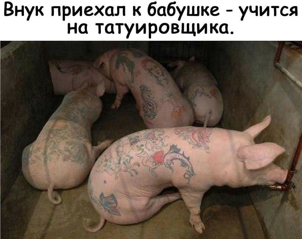 Внук приехал к бабушке учится на татуировщика
