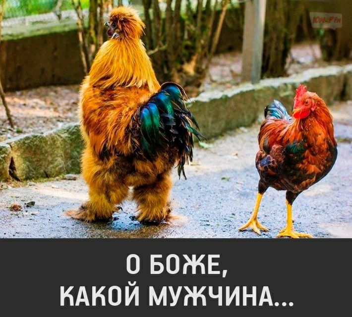 0 БОЖЕ КАКОЙ МУЖЧИНА