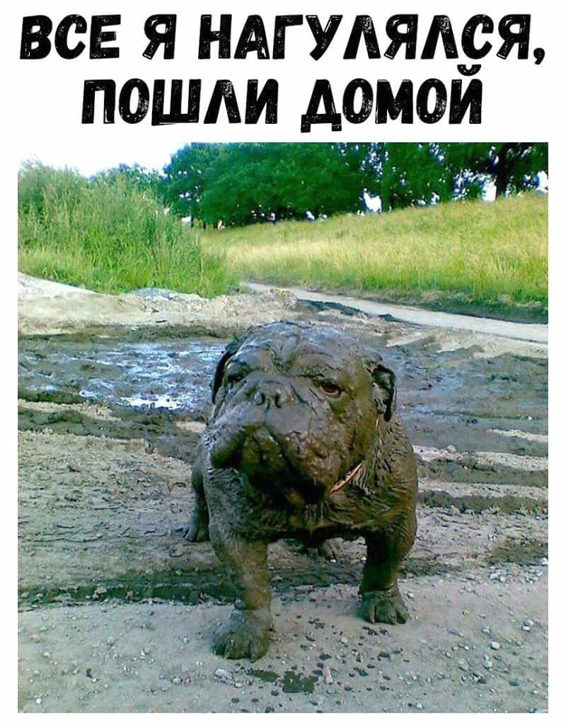 все я иАгУдямгя пошли доми