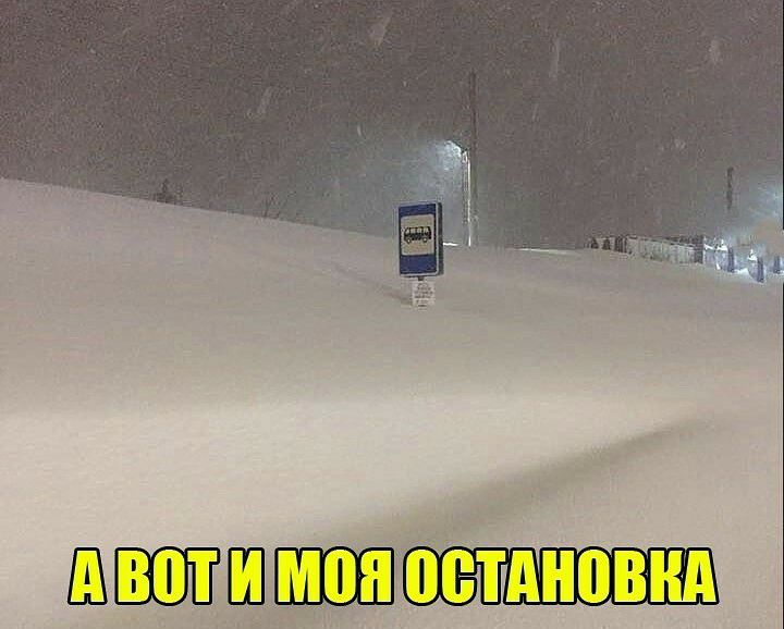 ШШПЁШШЩПМ