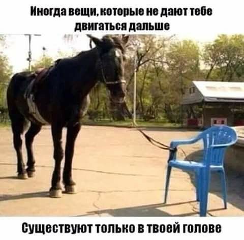Иногда вещикотопыв ив дают типо двигаться дапьшо ЁУЩВМВУШТ только В ТШШЙ ПЛЮЩ
