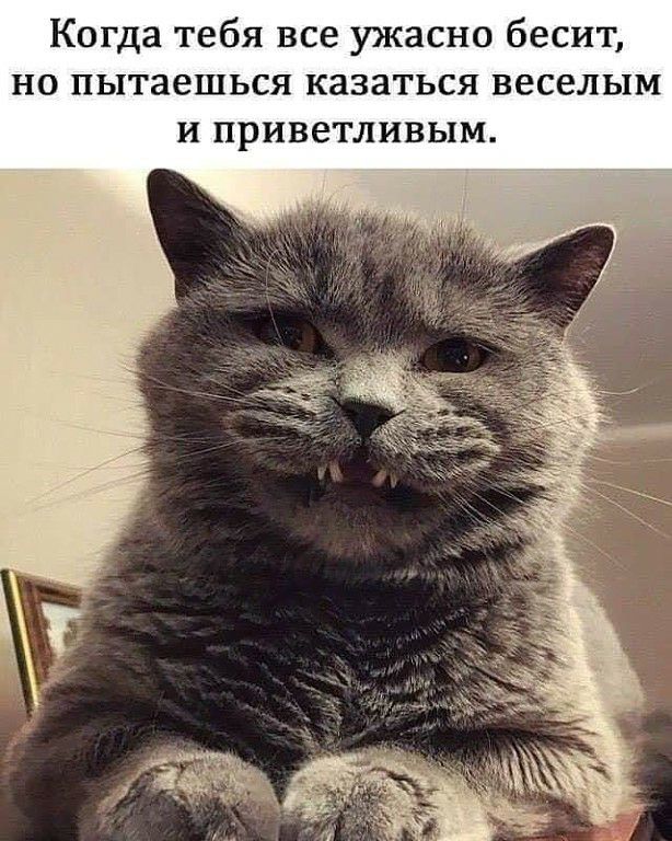 Когда тебя все ужасно бесит но пытаешься казаться веселым и приветливым