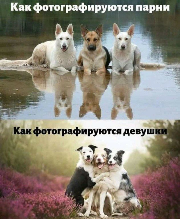Как фотографируются парни