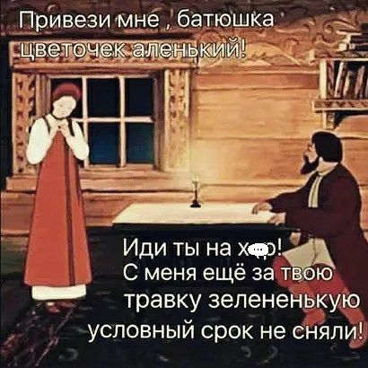 Иди ты на хф С меня ещё за тв ю травку зеленен _ условный срок не енялфі