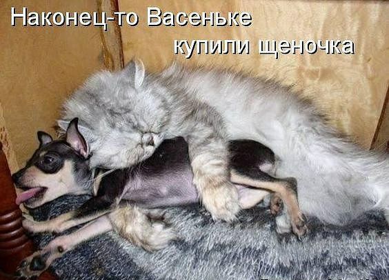 Вы а! Аконец цео ба  а к упили и иелоче