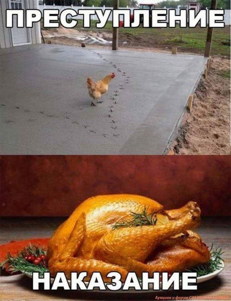 Аукцион фору