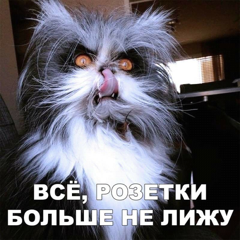 БОЛЬШ НЕ ЛИЖУ