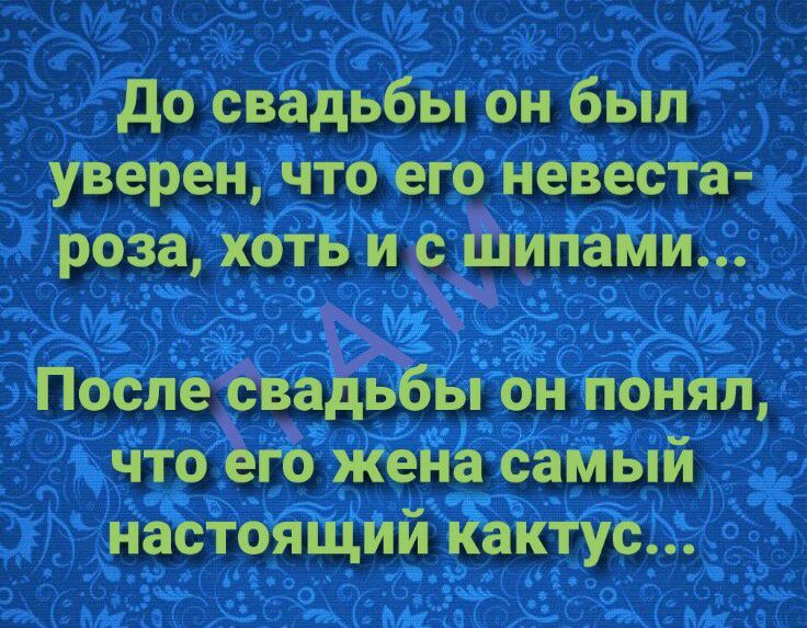 до свадьбы он был уверен чтр его невеста роза хоть и е_Ёіипами ПослеЁв Её бь і1 131 Что Его жена Самыи Чиз настояЩИи кактус