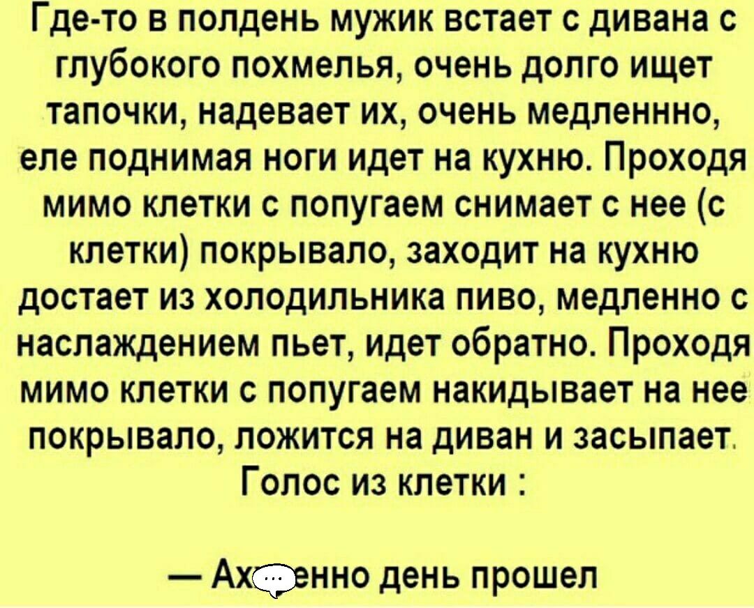 Где то в полдень мужик встает с дивана с глубокого похмелья очень долго ищет тапочки надевает их очень медленнно еле поднимая ноги идет на кухню Проходя мимо клетки с попугаем снимает с нее с клетки покрывало заходит на кухню достает из холодильника пиво медленно с наслаждением пьет идет обратно Проходя мимо клетки с попугаем накидывает на нее покрывало ложится на диван и засыпает Голос из клетки 