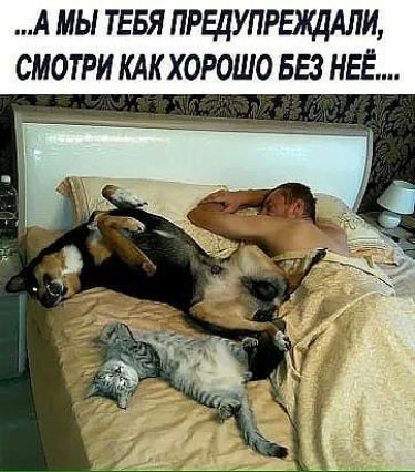 А МЫ ТЕБЯ ПРЕДУПРЕЖЦАЛИ СМОТРИ КАК ХОРОШО БЕЗ НЕЁ