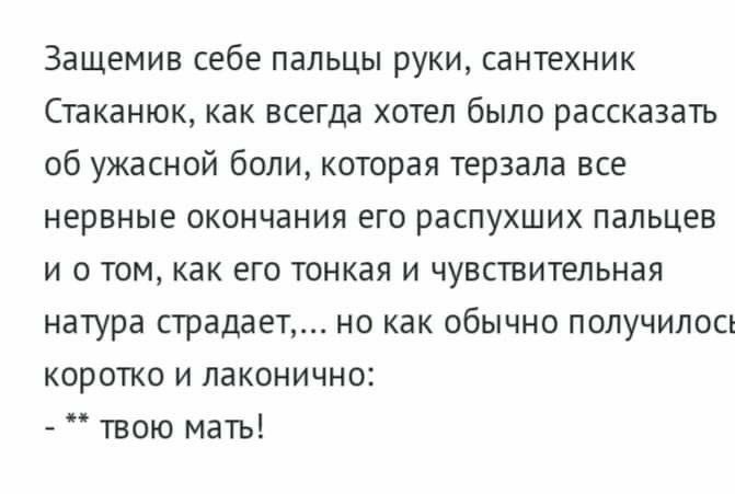 Защемив себе пальцы руки сантехник Стаканюк как всегда хотел было рассказать об ужасной боли которая терзала все нервные окончания его распухших пальцев и о том как его тонкая и чувствительная натура страдает но как обычно получилось коротко и лаконично твою мать