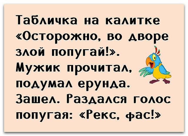 ТабАичка на каАитке Осторожно во дворе ЗАОЙ попугай Мужик прочитаА подумаА ерунда ЗашеА РаздаАся ГОАОС попугая Рекс фас