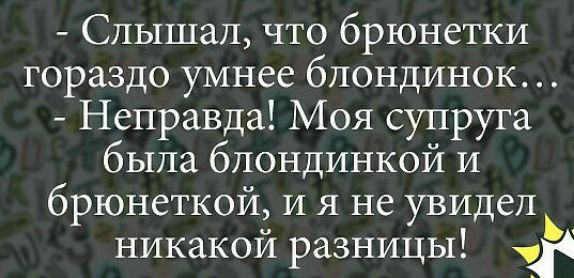 Слышал что брюнетки гораздо умнее блондинок Неправда Моя супруга была блондинкой и брюнеткой и я не увидел никакой разницы