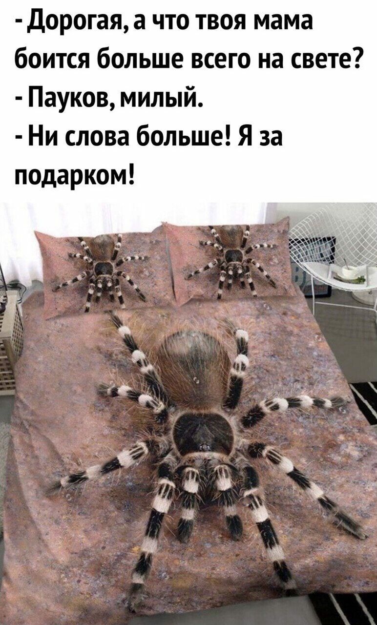 Дорогая а что твоя мама боится больше всего на свете Пауков милый Ни слова больше Я за подарком