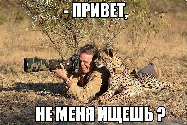 Неменя ищеш