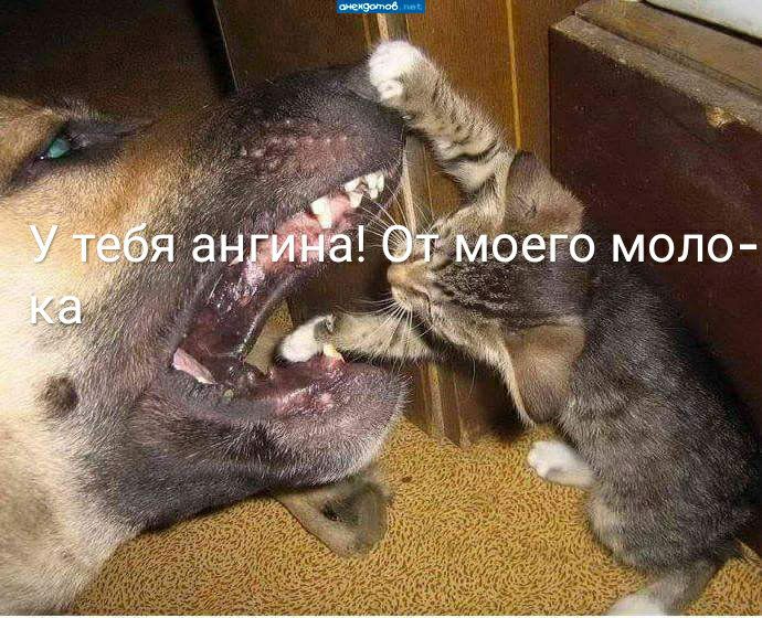 оеЕЁ моло