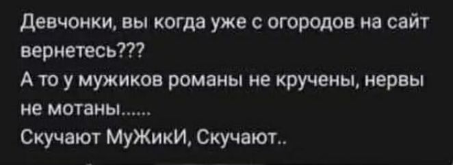 Девчонки вы когда уже с огородов на сайт вернетесь А то у мужиков романы не кручены нервы не мотаны Скучают МуЖикИ Скучают