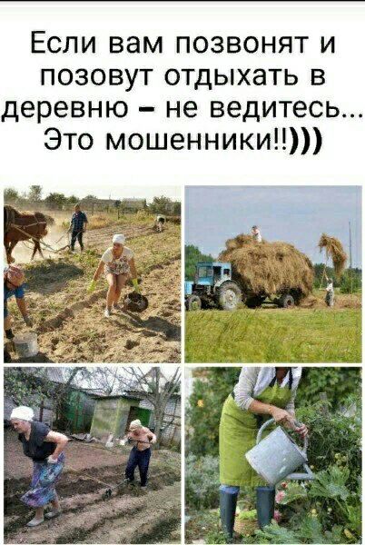 Если вам позвонят и позовут отдыхать в деревню не ведитесь Это мошенники