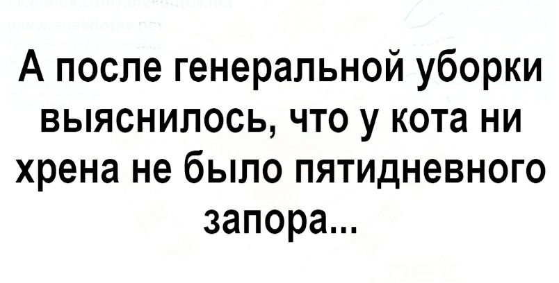 А после генеральной уборки выяснилось что у кота ни хрена не было пятидневного запора