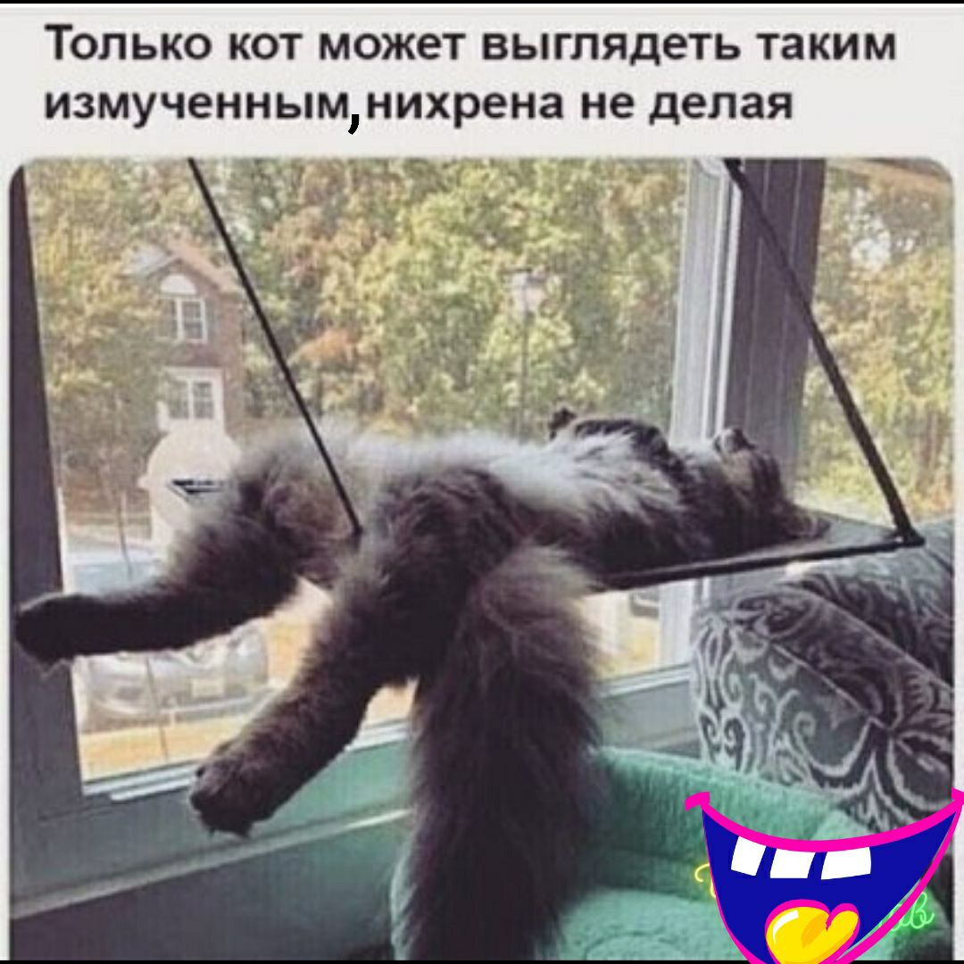ТОЛЬКО КОТ МОЖЗТ выглядеть ТЗКИМ ИЗМУЧЕННЬМНИХРЕНЗ не делая