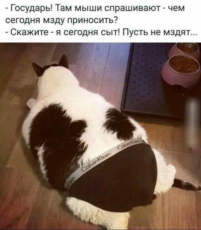 Государь Там мыши спрашивают чем сегодня мзду приносить Скажите я сегодня сыт Пусть не мздят