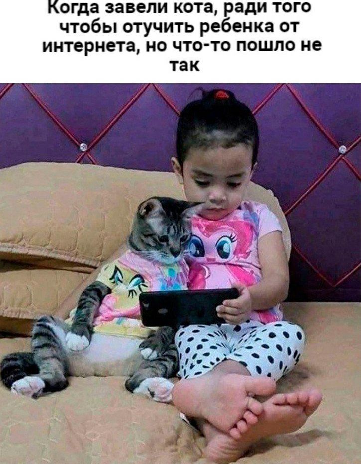 огда завели кота ради ТОГО чтобы отучить ребенка от интернета но что то пошло не так