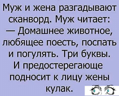 Муж и жена разгадывают сканворд Муж читает Домашнее животное пюбящее поесгь поспать и погулять Три буквы И предостерегающе подносит к лицу жены кулак ЁЁ
