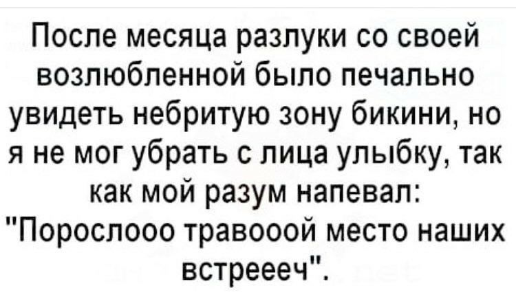 После месяца разлуки со своей возлюбленной было печально увидеть небритую зону бикини но я не мог убрать с лица улыбку так как мой разум напевал Порослооо травооой место наших встреееч