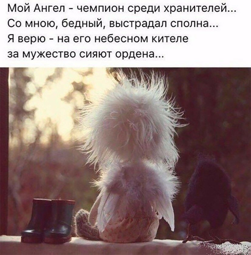 Мой Ангел чемпион среди хранителей Со мною бедный выстрадап сполна Я верю на его небесном кителе за мужество сияют ордена