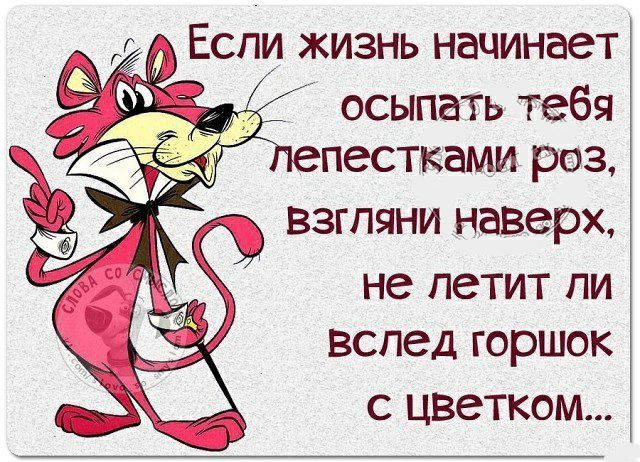 осыпать тебя пестками роз Взгляни наверх не петит пи вслед горшок С ЦВЗТКОМ