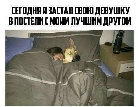 ЕГПДНП Я ЗАШШ ВШ П дЕВУШКУ В ПППЕЛИ МПИМ ЛУЧШИМ дРУШМ