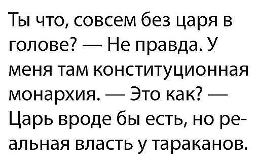 Ты что совсем без царя в голове Не правда У меня там конституционная монархия Это как Царь вроде бы есть но ре альная власть у тараканов